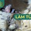 Nước Yến Làm Từ Gì