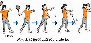 Thuận Tay Trái Thì Bán Cầu Não Nào Phát Triển