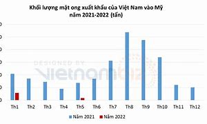 Xuất Khẩu Việt Nam Vào Mỹ